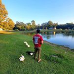Patrick Barfield - @patrickbarfield - Instagram