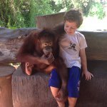 Patrick Barham - @patrick_barham - Instagram