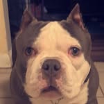 Patrick - @patrick._barrett - Instagram