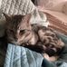 Patrick Barrett - Facebook