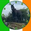Patrick Barrett - @patrick.barrett73 - TikTok
