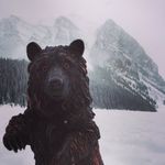 Patrick Barry Bear III - @patrickthebear3 - Instagram