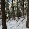 Patrick_Barth - @patrickpreaching1 - TikTok