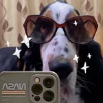 Патрик Бассет-Хаунд - @patrick_bassethound - Instagram