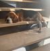 Patrick Beagle - Facebook