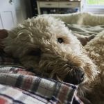 Patrick Beals - @beals_ - Instagram