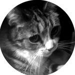 Patrick Beals - @drama_king_kitten - Instagram