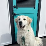 Patrick Beasley - @beaseatspdx - Instagram