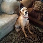 Patrick Beasley - @patbeasley5978 - Instagram