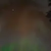 patrickwhitbeck - @patrickwhitbeck - TikTok