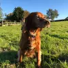 Patrick Beddow - @patrickbeddow - TikTok