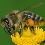 Patrick Bee - Facebook
