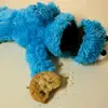 Patrick Behrens378 - @patrick.1313 - TikTok