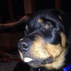 Patrick Belding - Facebook