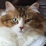 Patrick Belisle - @belislepatrick - Instagram