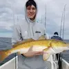 Patrick Bell649 - @patrickbell649 - TikTok