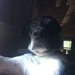 Patrick Bellemare - @patrick_bellemare - Instagram