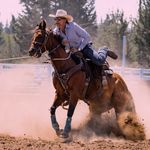 Patrick Bennett - @patrickb41 - Instagram
