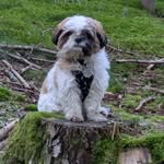 Patrick Bérard - @patrick487374 - Instagram