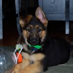 Patrick Bergin - @pbergin01 - Instagram