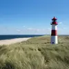 patrick.bergmann74 - @patrick.bergmann74 - TikTok