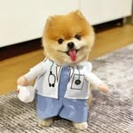 Patrick Bernardi - @_p.rick_ - Instagram