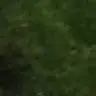 Patrick Bernardi - @patrick_berna - TikTok