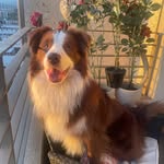 Patrick Berrios - @ketopato - Instagram