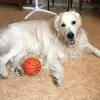 Patrick Bertin - @patrick.bertin0 - TikTok