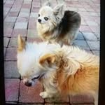 Patrick Bertin - @patrick.bertin1705 - Instagram