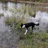 Patrick Bertin - @patrick.bertin09 - TikTok
