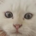 Hi Im Patrick Bertke - @thepatrickpage_ - Instagram
