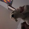 Patrick Betker - @patrickbetker0 - TikTok