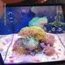 Patrick Bertoletti - Facebook