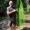 patrickbertolino4 - @patrickbertolino4 - TikTok