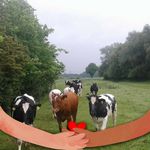 Patrick Bertram - @patrick.bertram.961 - Instagram