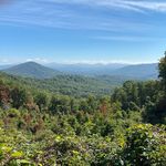 Patrick Betteridge - @patbetter05 - Instagram