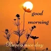 Ankit_patel - @patrick.bettiss - TikTok