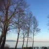patrickbibaj - @patrickbibaj - TikTok