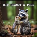 Patrick J Bidwell - @bidwellp - Instagram