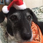 Patrick Bigelow - @pbigelow644 - Instagram