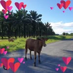 Patrick Bill - Facebook