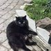 Pat Blackmore - Facebook
