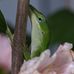 Patrick Blalock Photography - Facebook