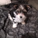Patrick Laurence Blanchard - @patrick.blanchard.3194 - Instagram