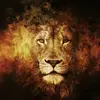 YaboiPat - @patrick.blaze - TikTok