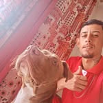 Patrick Bless - @patrick_emanoel018 - Instagram