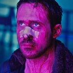 Charlie - @patrick_blightman - Instagram