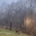 Patrick Bloodgood - @patickbloodgood - Instagram