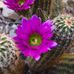 Patrick Bloodgood Photography - Facebook